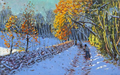 Snebold, Allestree Park, Derby, 2014 af Andrew Macara